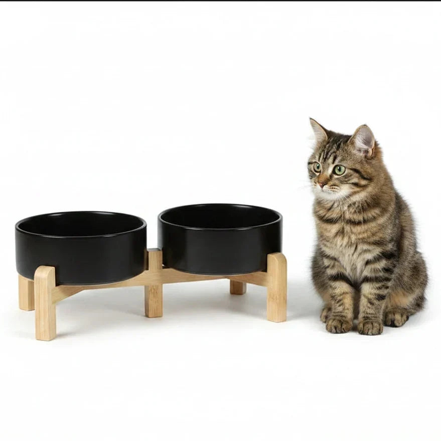¿Tu gato bebe poca agua en verano? El truco para evitar sorpresas con su salud