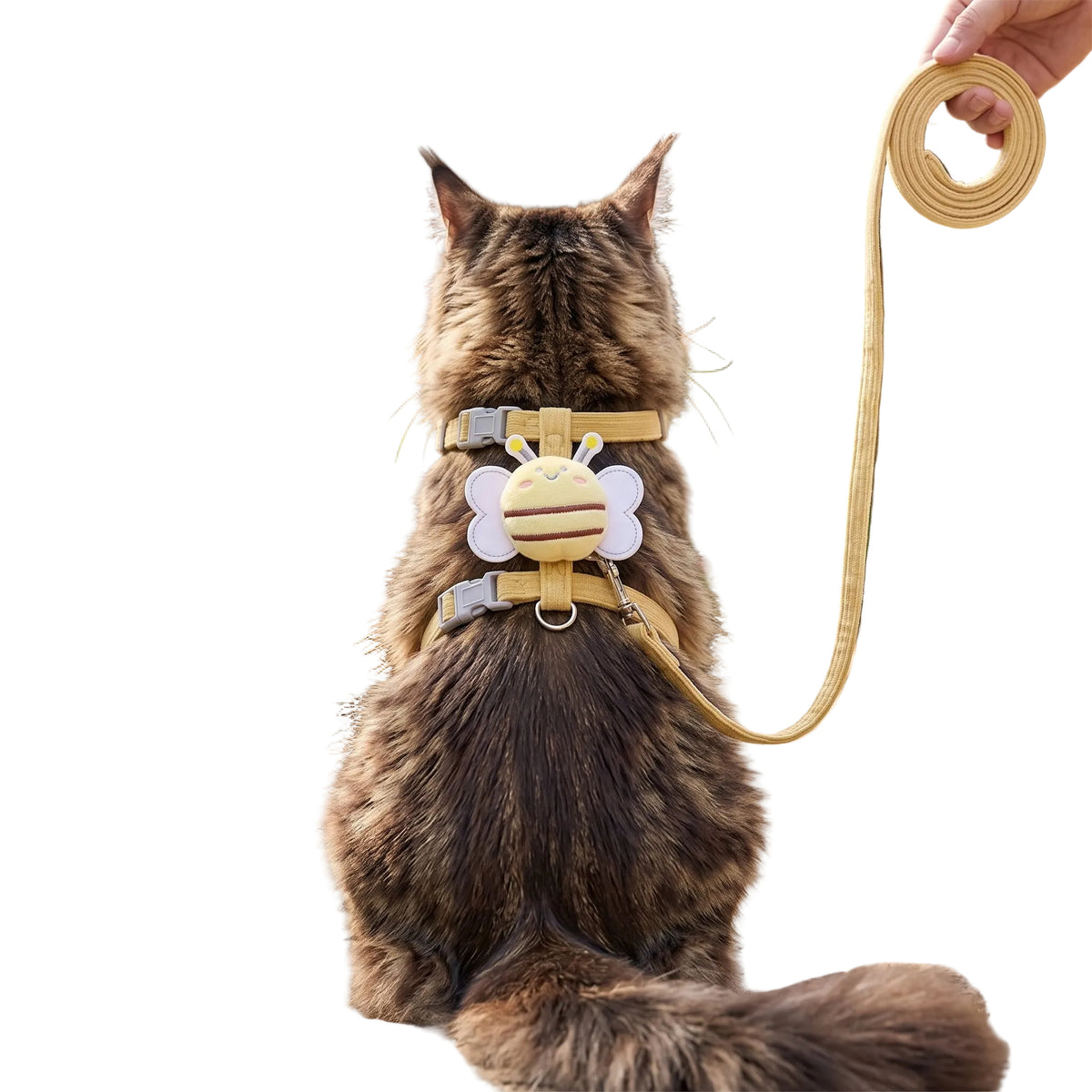 Set de Arnés, Collar y Correa para Gatos con Diseño de Abeja