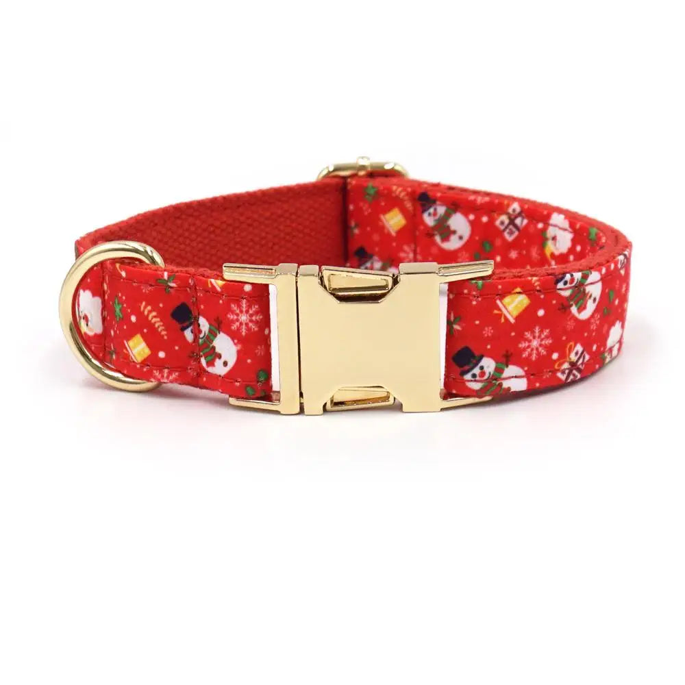 Collar y Correa de Nylon Rojo para Perros – Seguridad y Estilo en Cada Paseo
