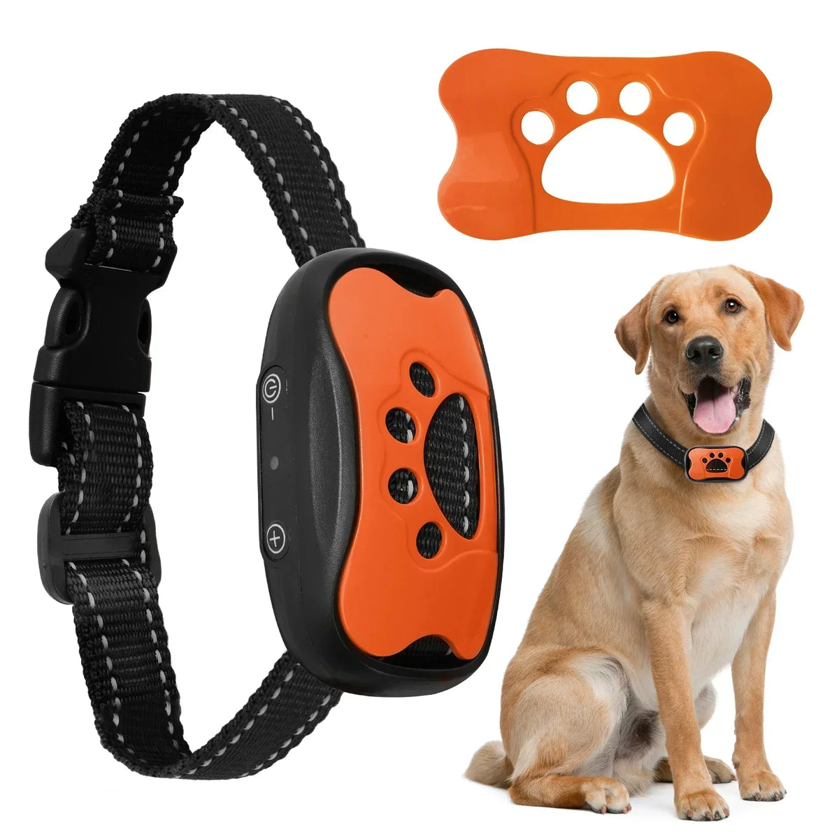 Collar antiaullidos inteligente: adiestramiento seguro y sin estrés