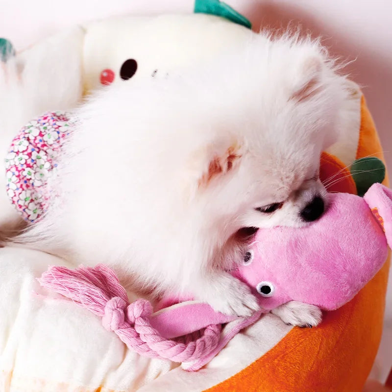Juguete de Peluche para Perros – Suave, Divertido y Resistente