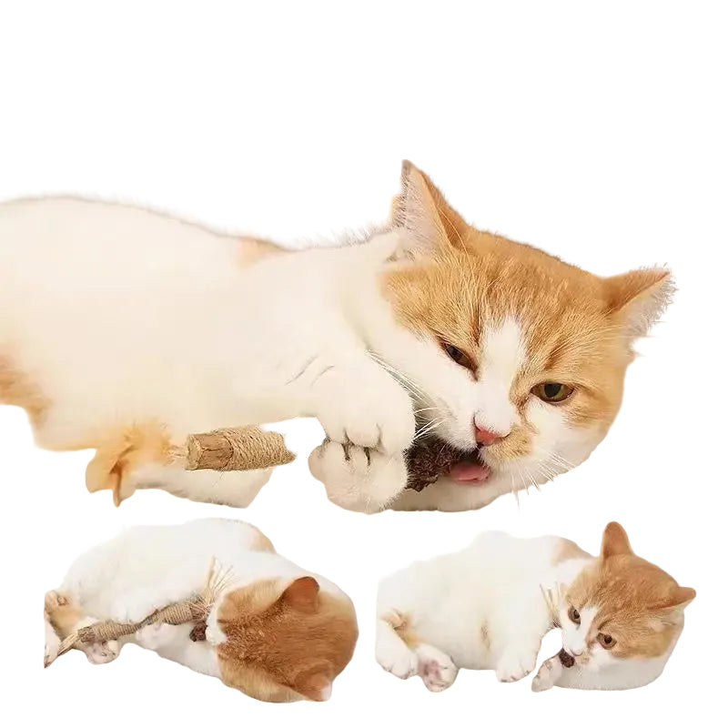 Palitos de Matatabi para Gatos - Limpieza Dental Natural