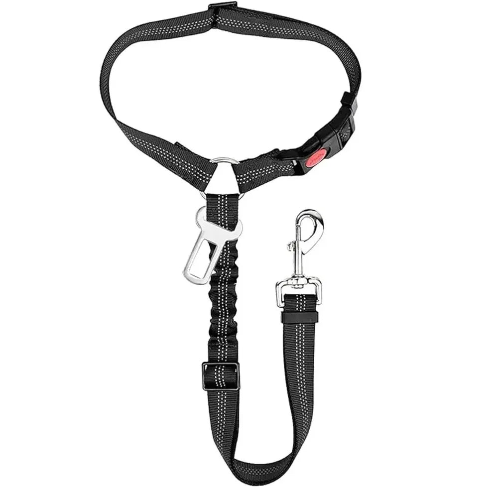 Correa de seguridad reflectante – Protección total para tu perro