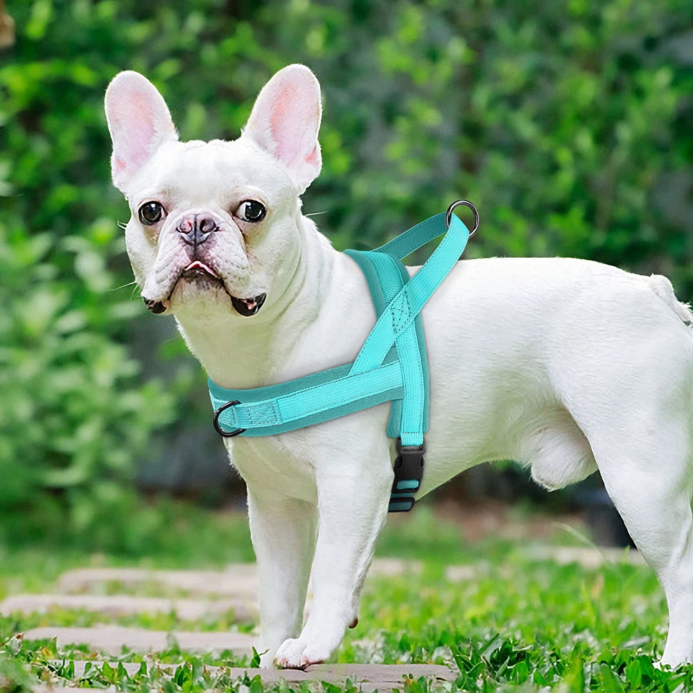 Arnés Antitirones Azul de Nylon para Perros
