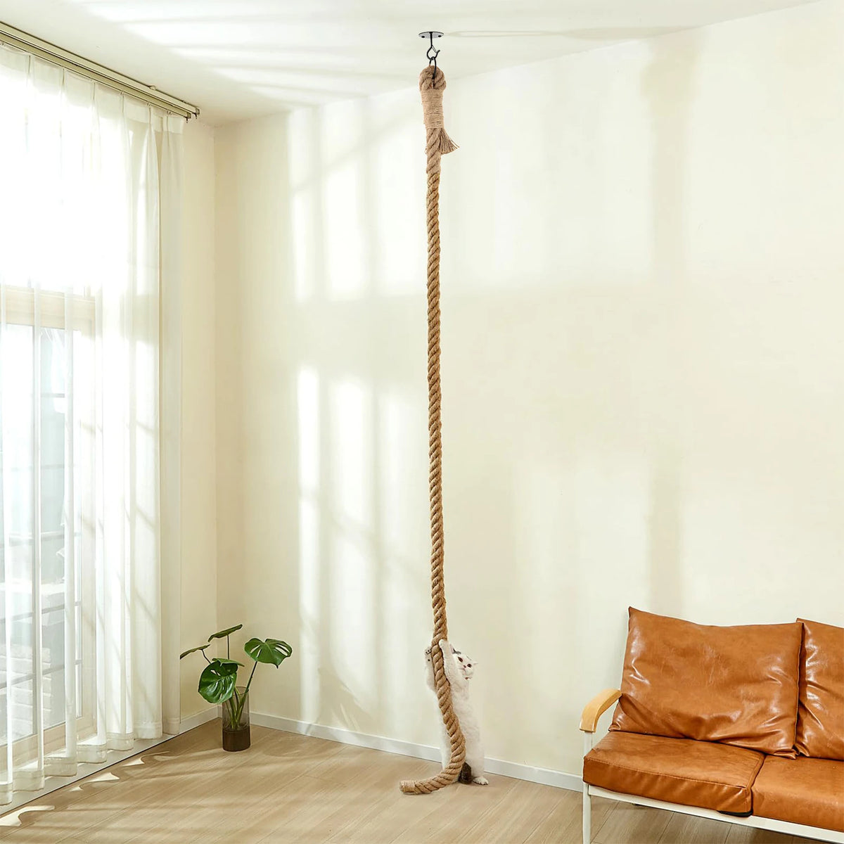 Cuerda de Sisal Natural para Gatos - 3 Metros de Diversión y Afilado de Uñas