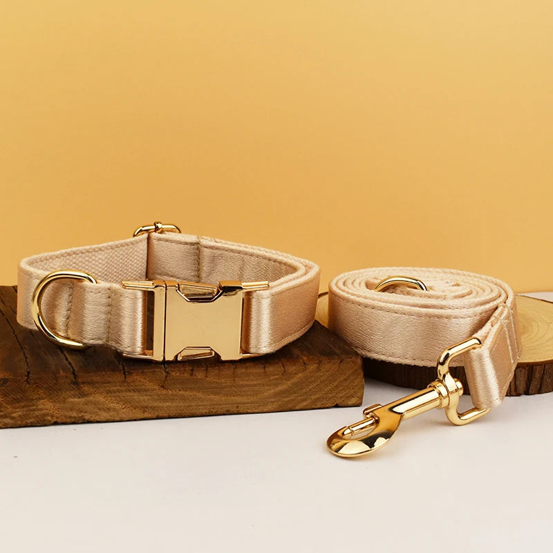 Set de Collar, Arnés y Correa de Lujo Personalizable Golden