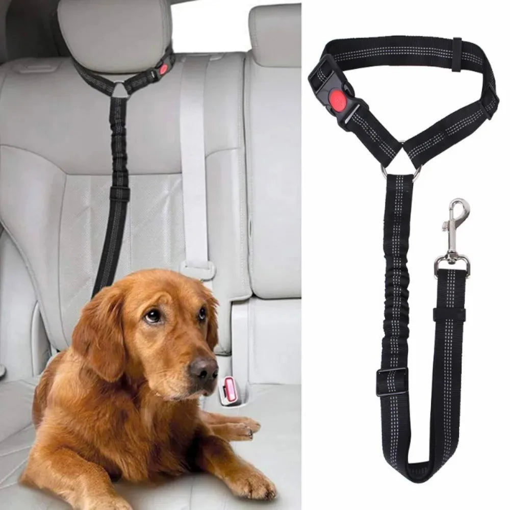 Correa de seguridad reflectante – Protección total para tu perro