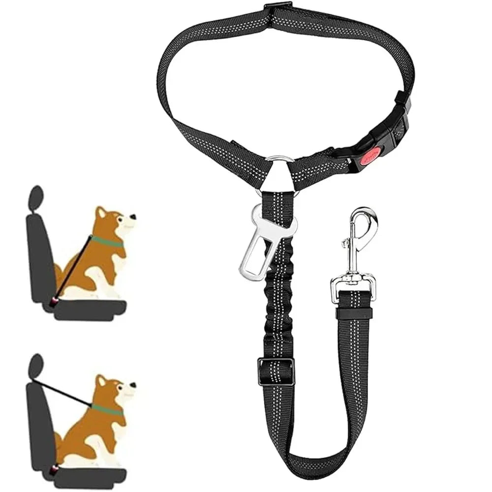 Correa de seguridad reflectante – Protección total para tu perro