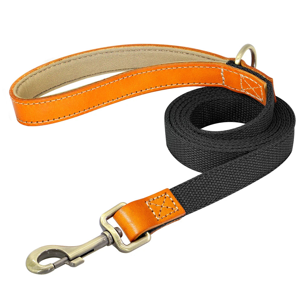 Correa de Cuero y Nylon para Perros de 150 cm | Paseos Seguros y Resistentes