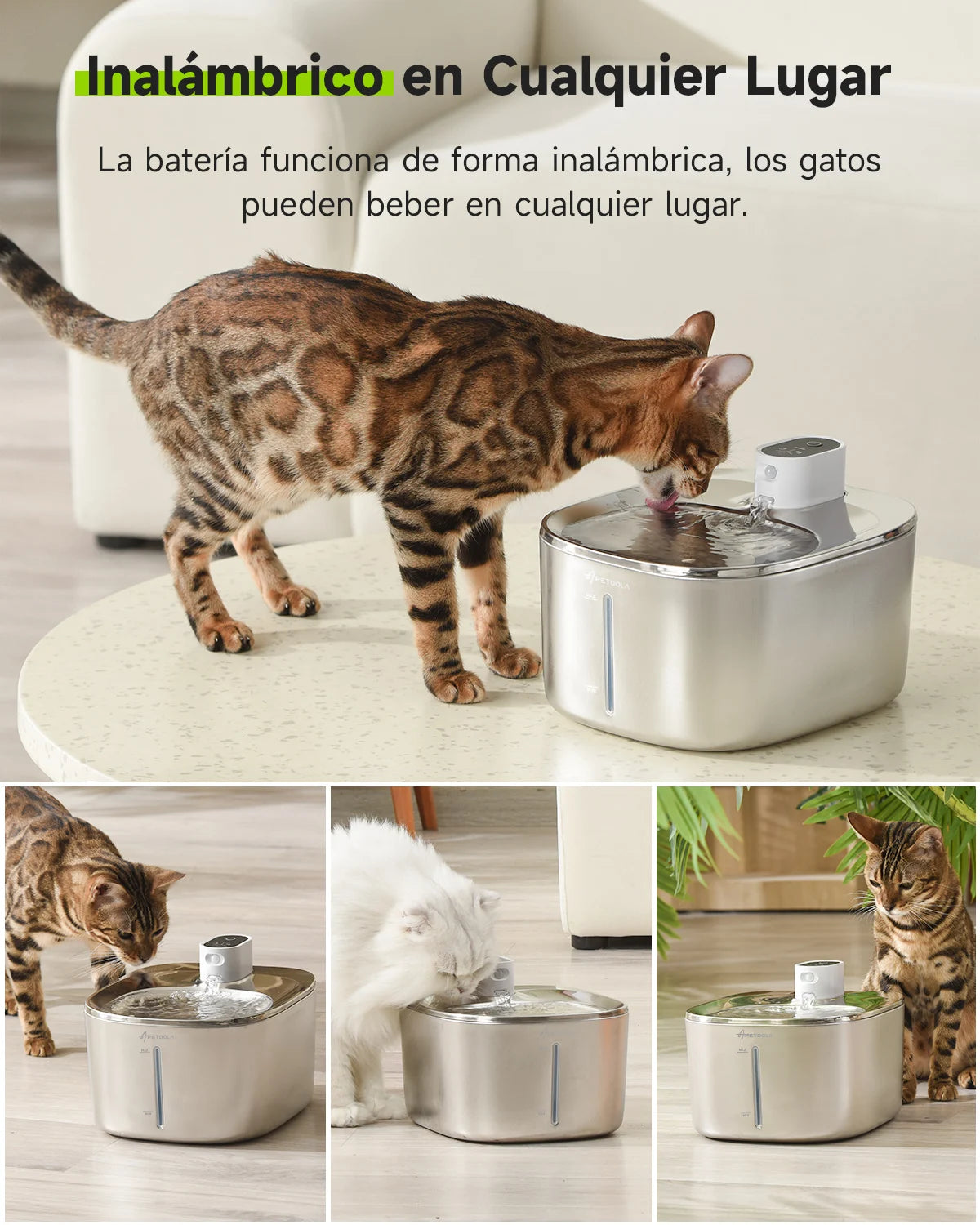Fuente de Acero Inoxidable Inalámbrica 4L: Libertad y Pureza Total