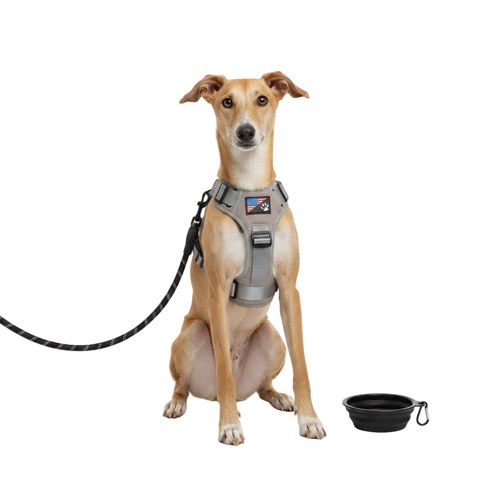 Arnés Reflectante con Correa y Bol Plegable para Perros