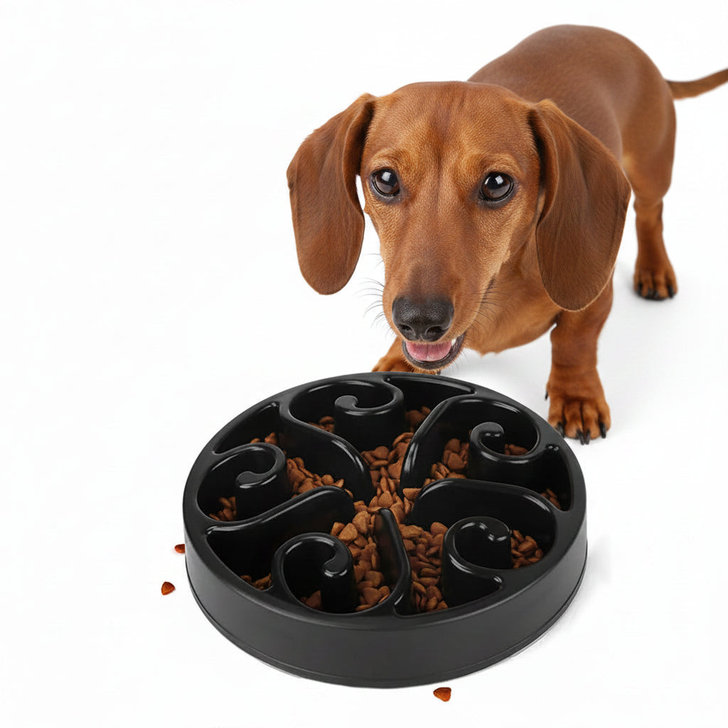 Comedero Antivoraz para Perros - Negro