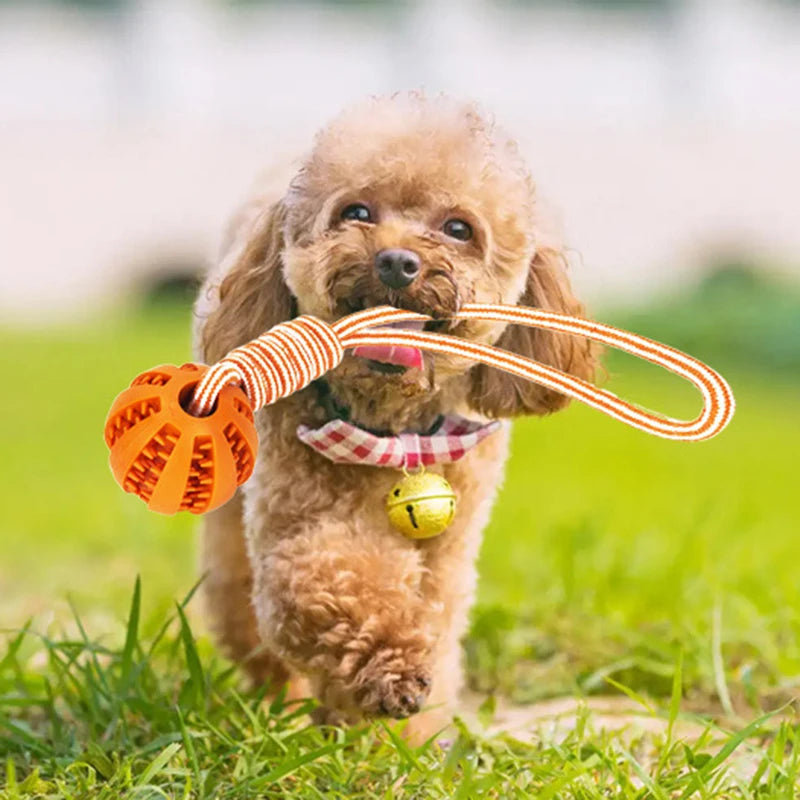Diversión interactiva y salud: pelota de goma con cuerda para perros