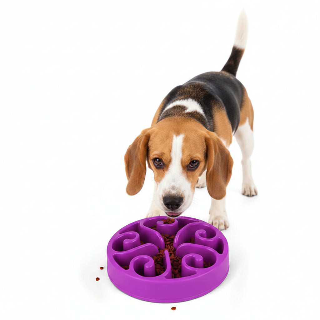 Comedero Antivoraz para Perros - Morado