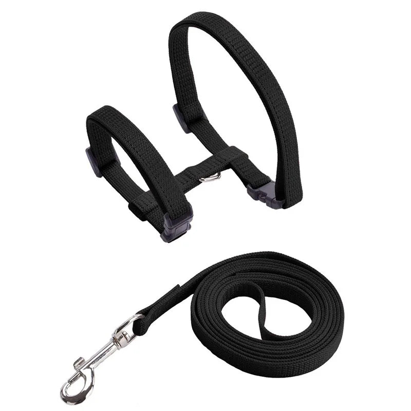 Set de Collar, Arnés y Correa Ajustable para Gatos