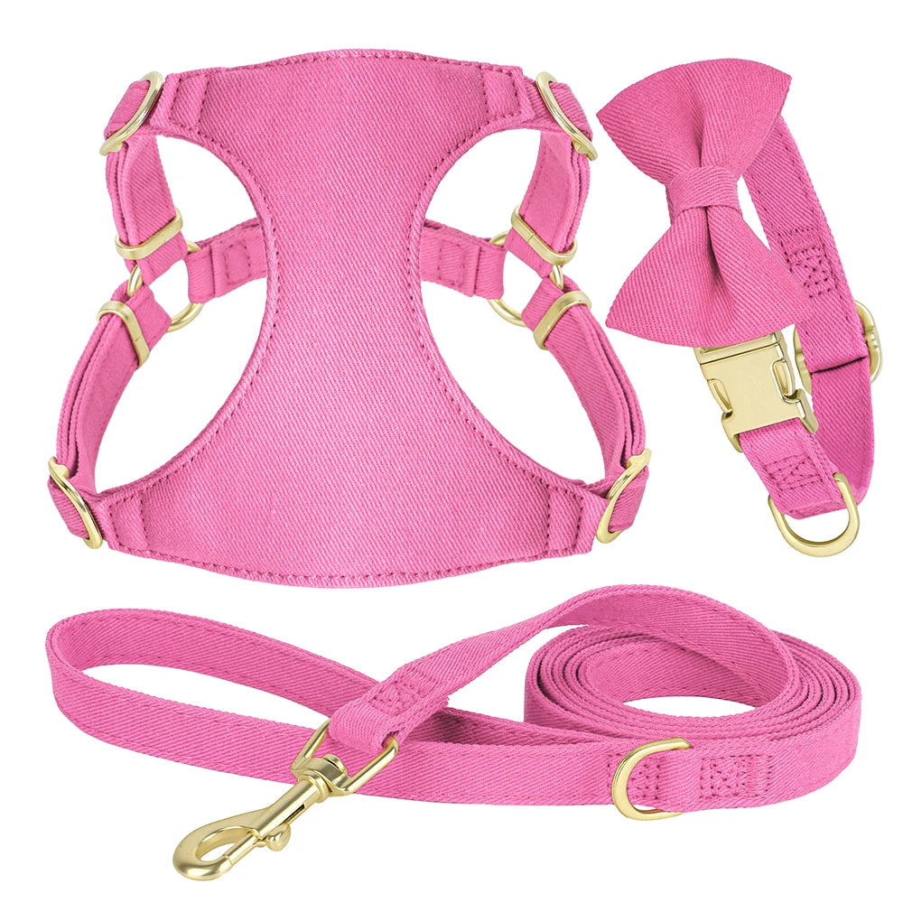 Arnés, Correa y Correa Rosa Antitirones para Perros Pequeños y Mini – Paseos con Estilo y Seguridad