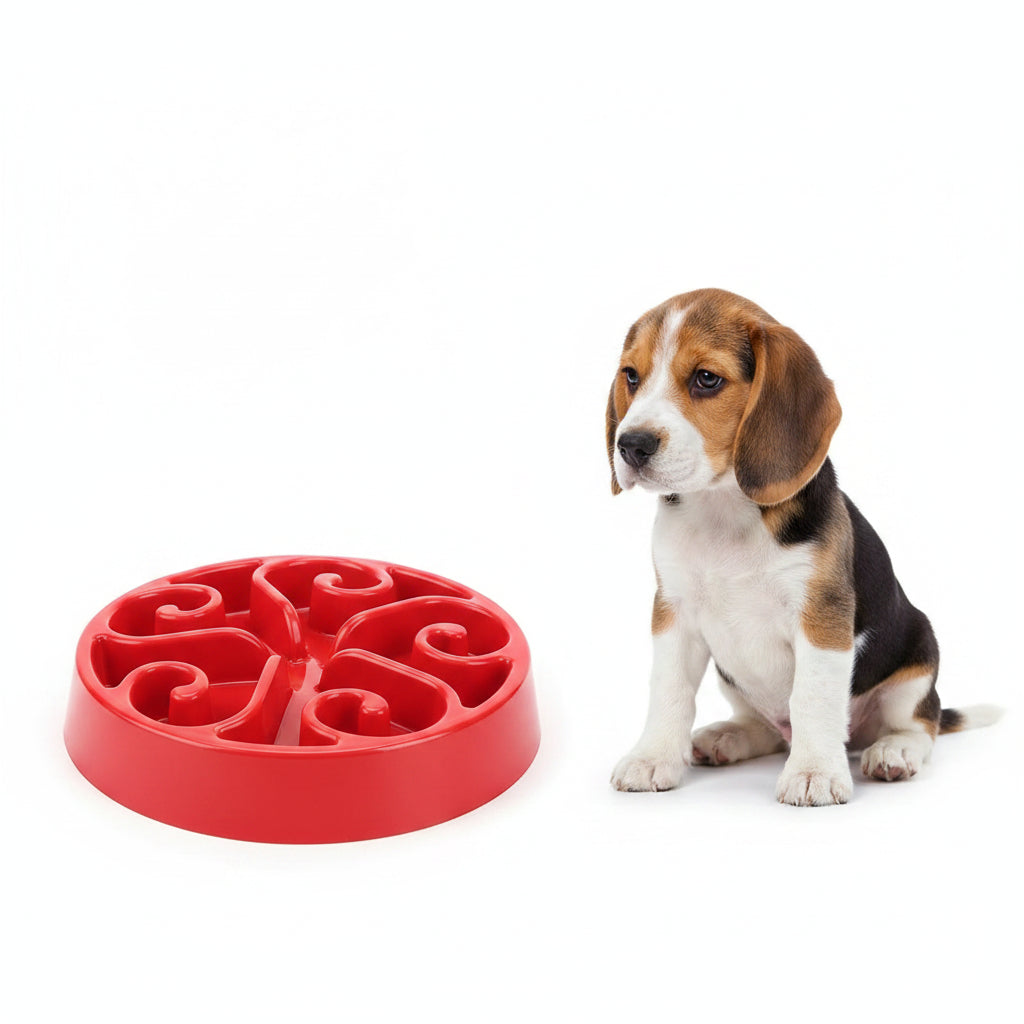 Comedero Antivoraz para Perros - Rojo