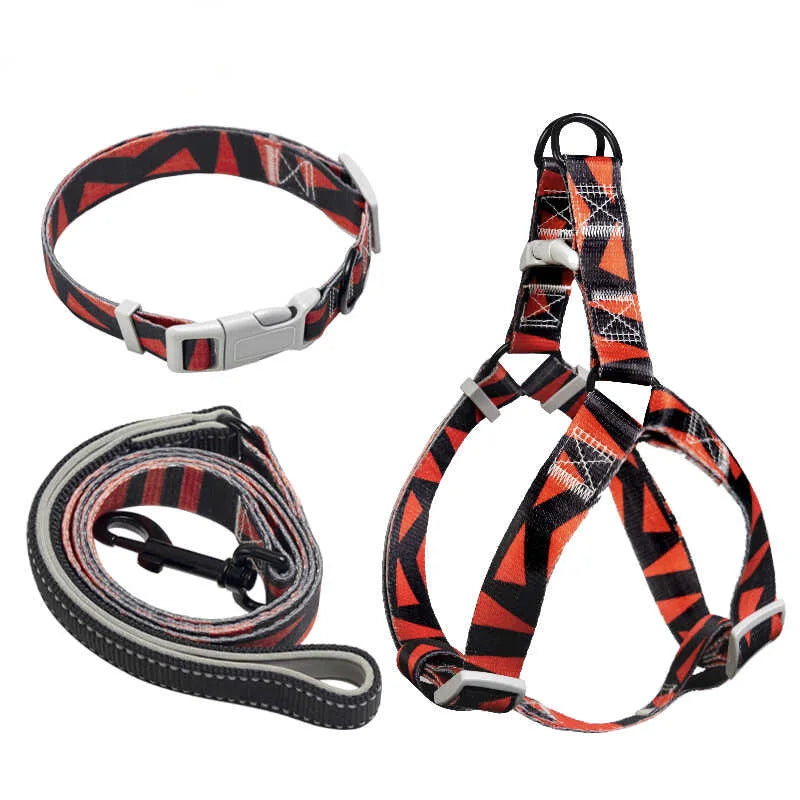 Arnés, Collar y Correa para Perro - Rayas Negras