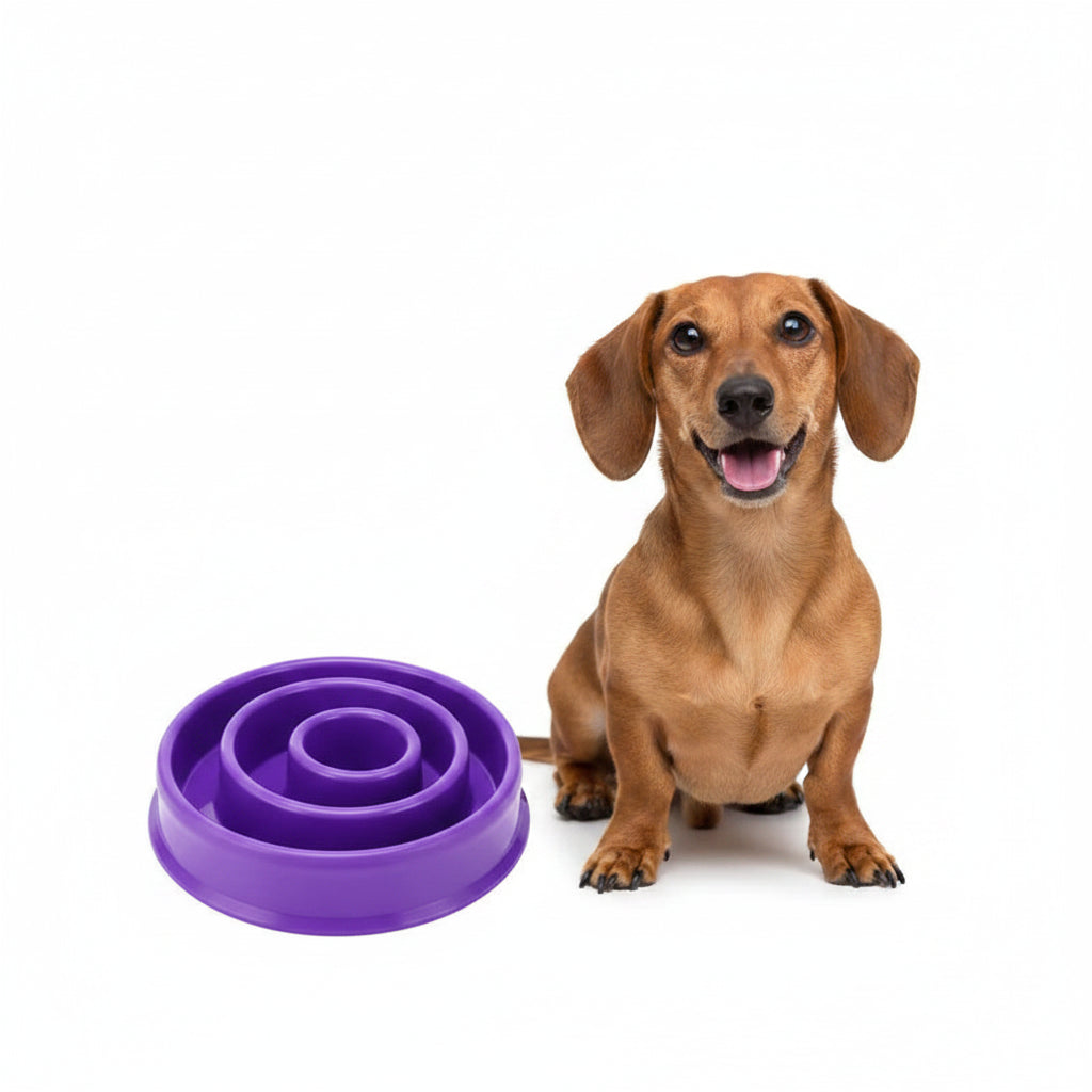 Comedero Antivoraz Espiral para Perros