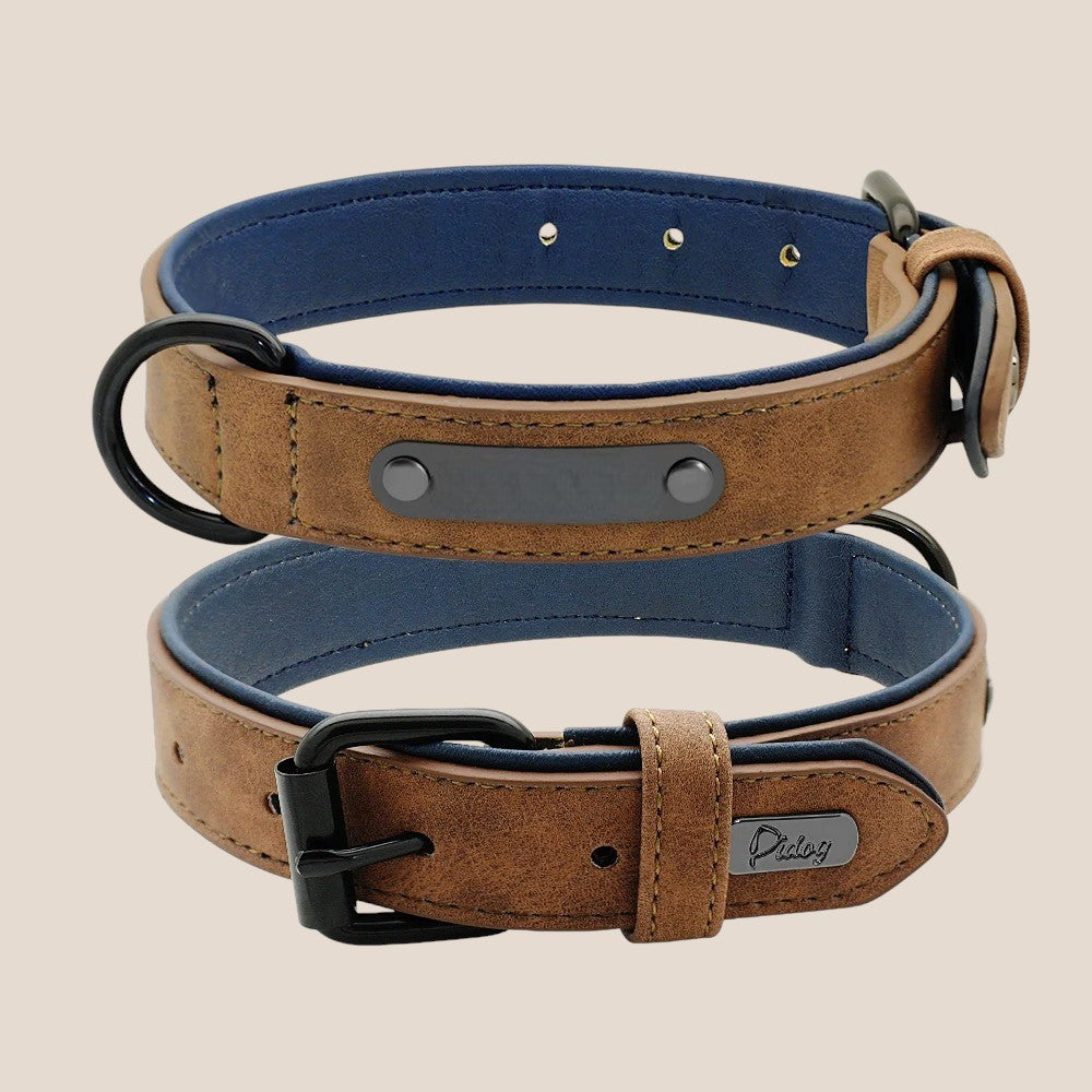 Set de Collar y Correa de Cuero para Perros – Máximo Estilo y Confort