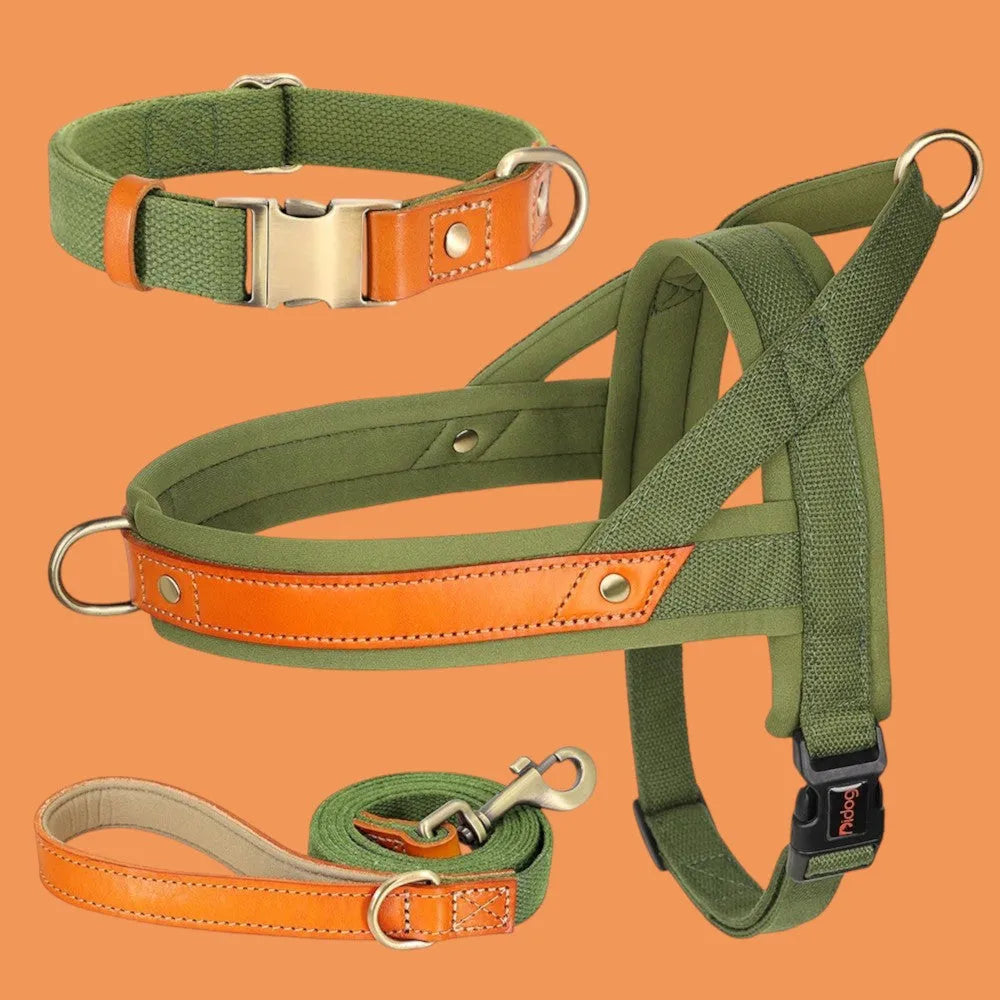 Kit Árnes Perro Completo