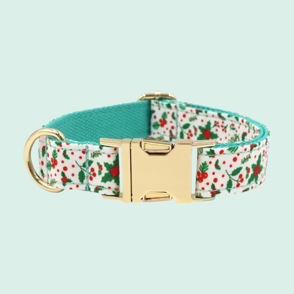 Collar y Correa de Nylon Verde para Perros – Durabilidad y Estilo Natural