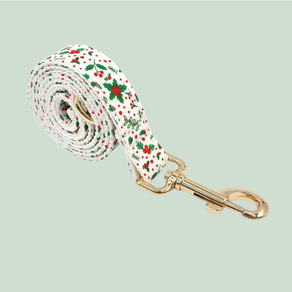 Collar Clásico de Nylon para Perros & Correa – Estilo y Resistencia en Cada Paseo