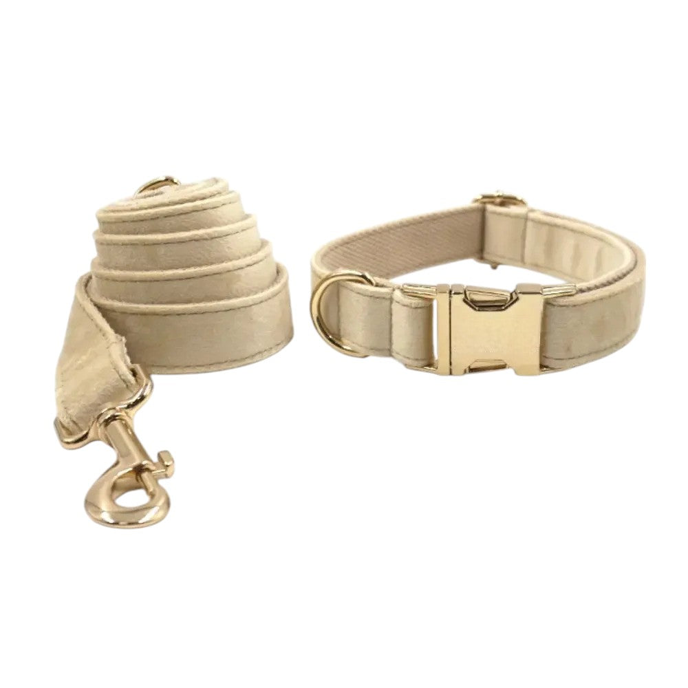 Collar de Nylon Clásico con Correa para Perros – Suave, Resistente y Estiloso