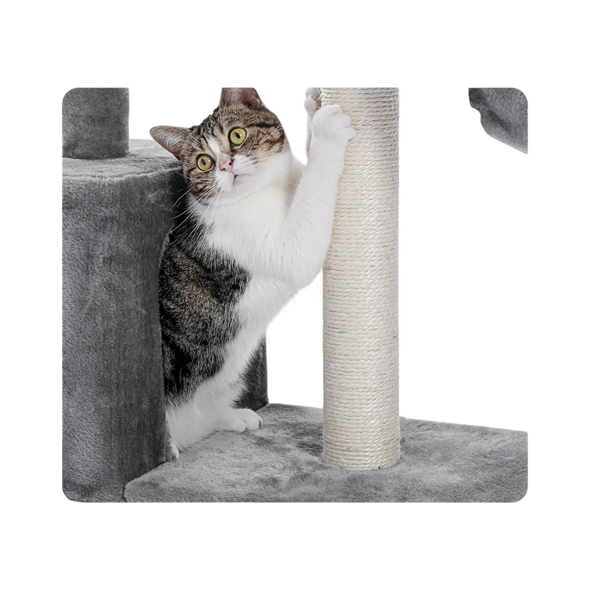 Rascador para Gato 3 Niveles de Gris