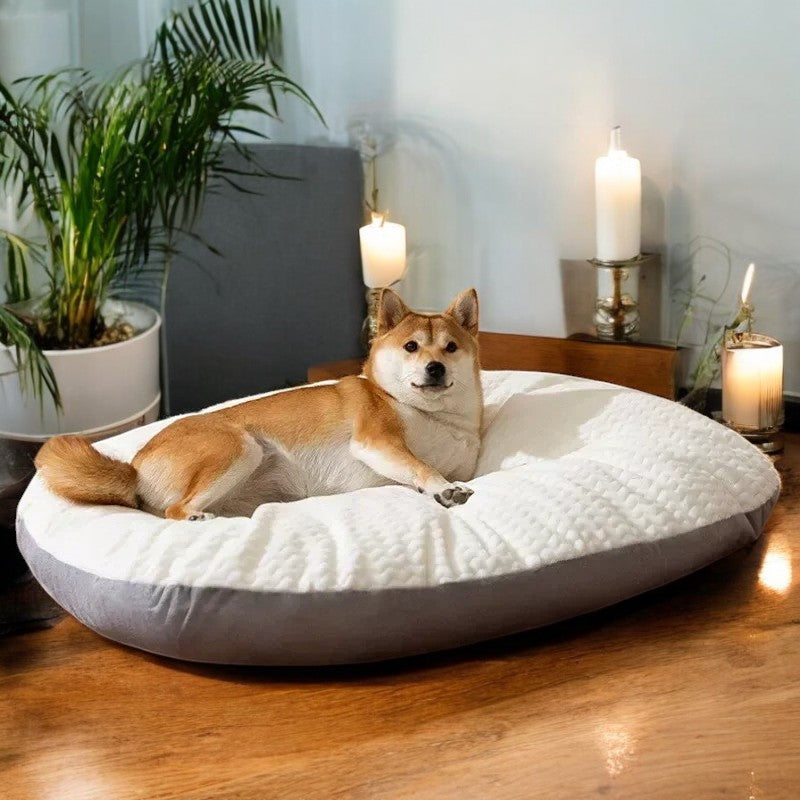 Cama Ultra Cómoda de Terciopelo para Perros