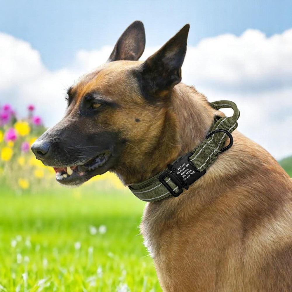 Collar Militar de Nylon con Asa de Control para Perros Medianos y Grandes
