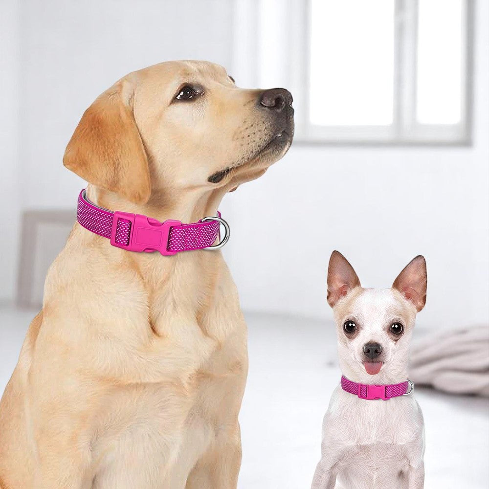 Collar Reflectante Rosa de Nylon para Perros – Seguridad y Estilo en Cada Paseo