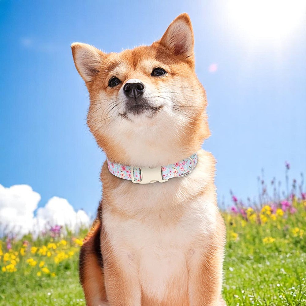 Collar Flores Azul para Perros – Estilo y Comodidad