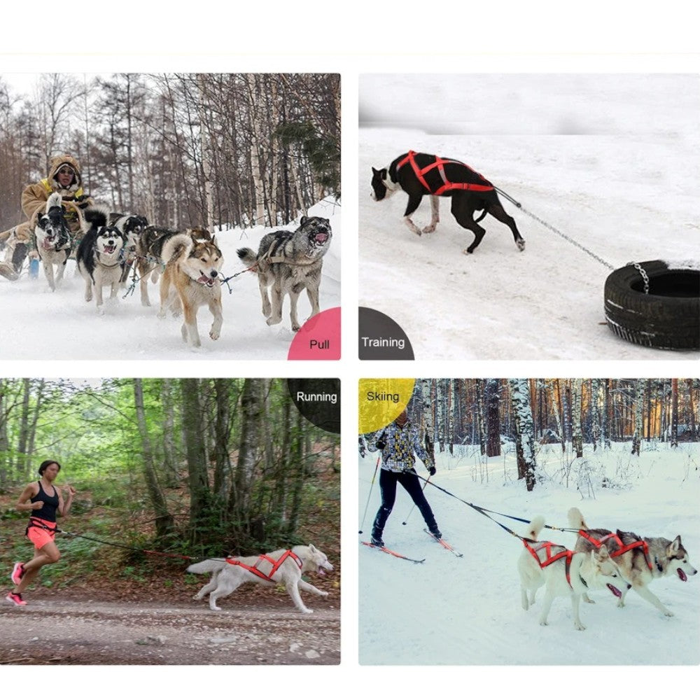 Arnés de tiro resistente para perros grandes – Seguridad y rendimiento - Rojo
