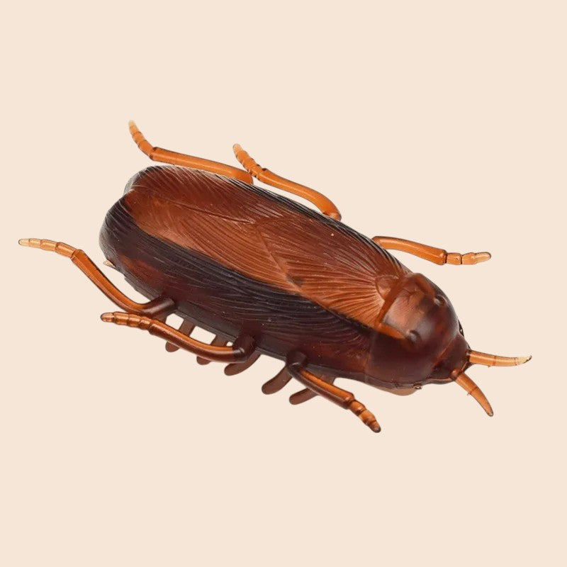 Juguete Interactivo Eléctrico en forma de Insecto!