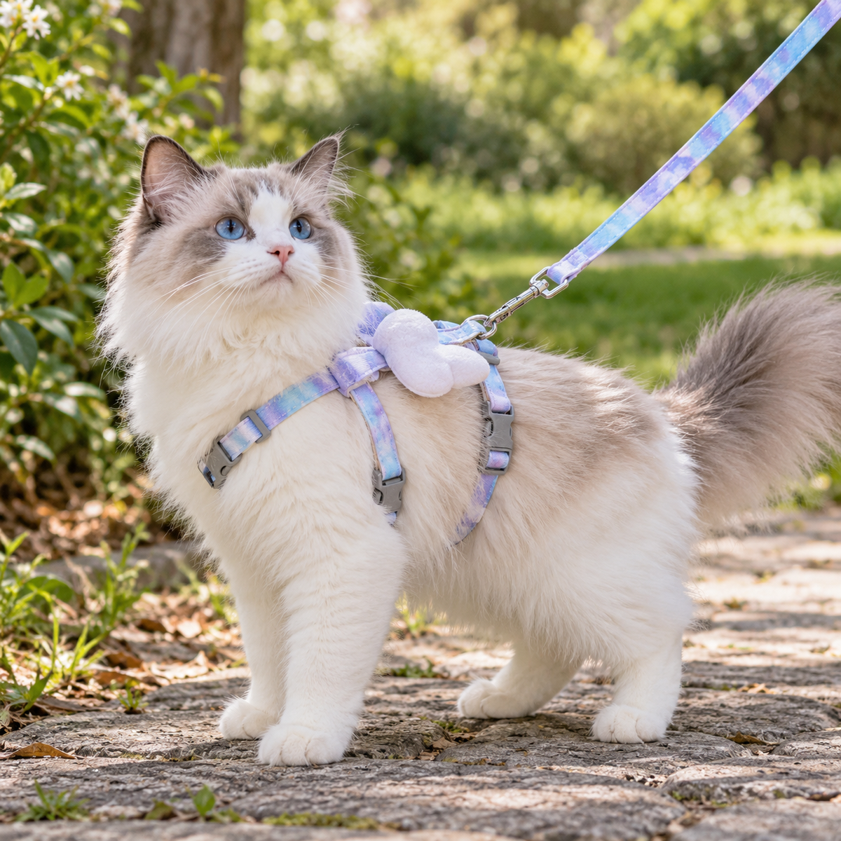 Ausbruchsicheres Katzengeschirr mit Flügeln und Leine – atmungsaktiv