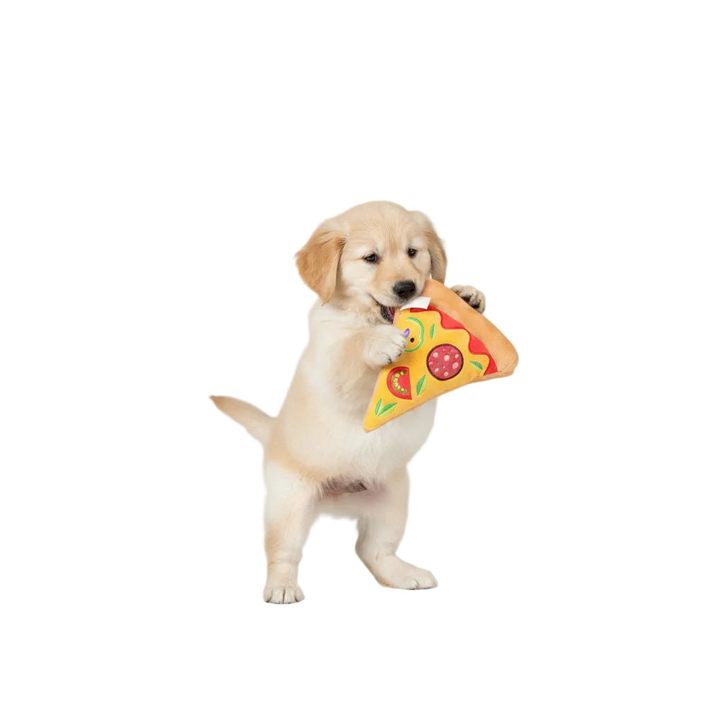 Juguete de Peluche Calamar y Cangrejo con Sonido para Perros
