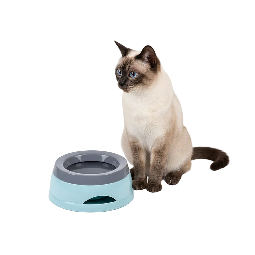 Pet Dog Bowls Floating Not Wetting Mouth Cat Bowl No Spill Drinking Water Feeder Plastic Portable Dog Bowl Support Accessories