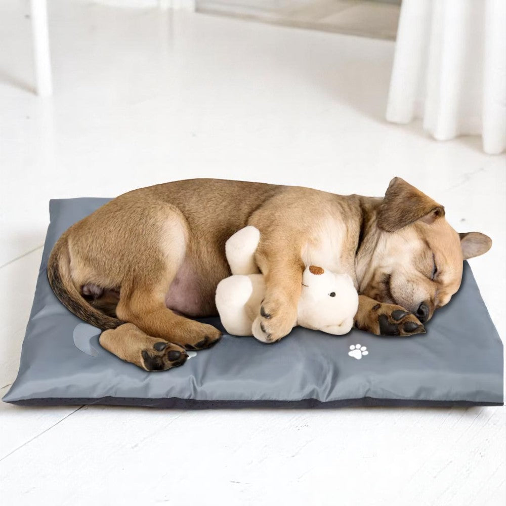 Cama Impermeable y Lavable para Perros y Gatos | Máxima Comodidad Todo el Año