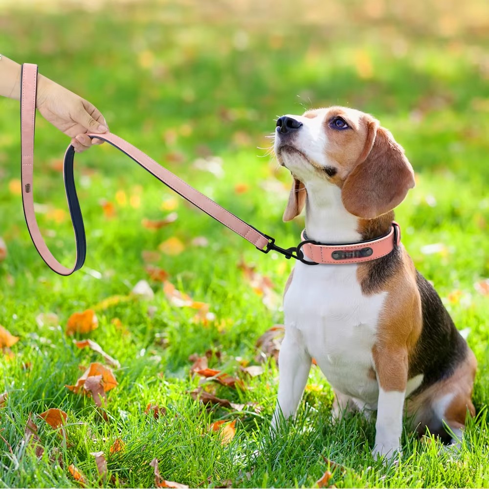 Set de Collar y Correa de Cuero para Perros – Máximo Estilo y Confort