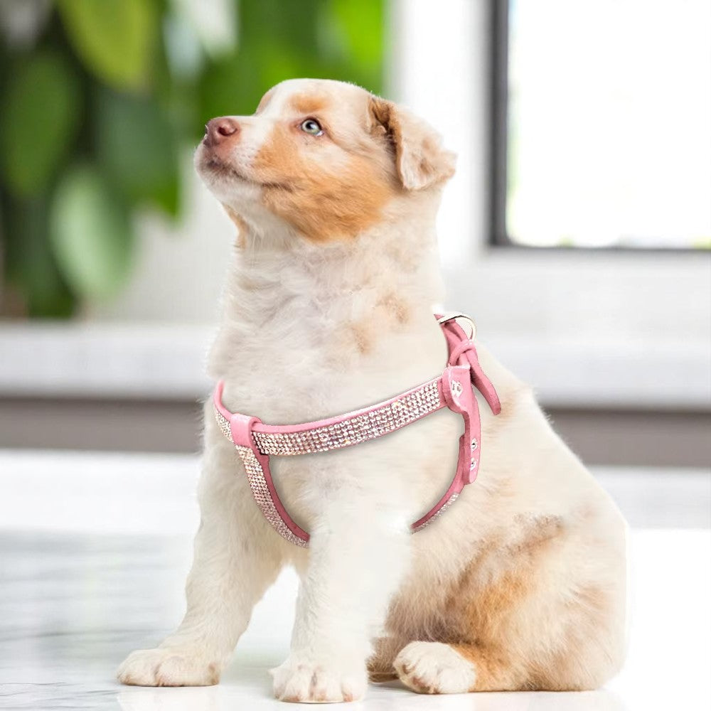 Kit Árnes y Correa Rosa de Gamuza con Cristales para Perros