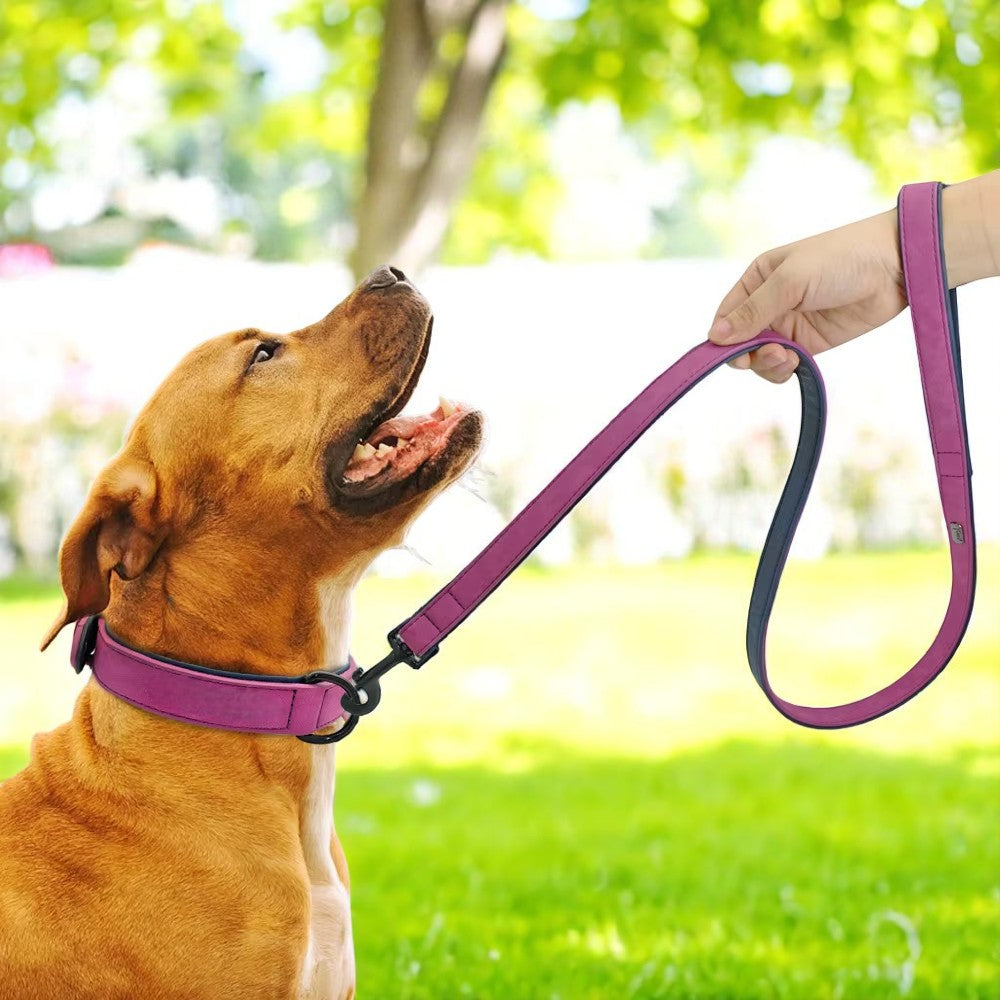 Set de Collar y Correa de Cuero para Perros – Máximo Estilo y Confort