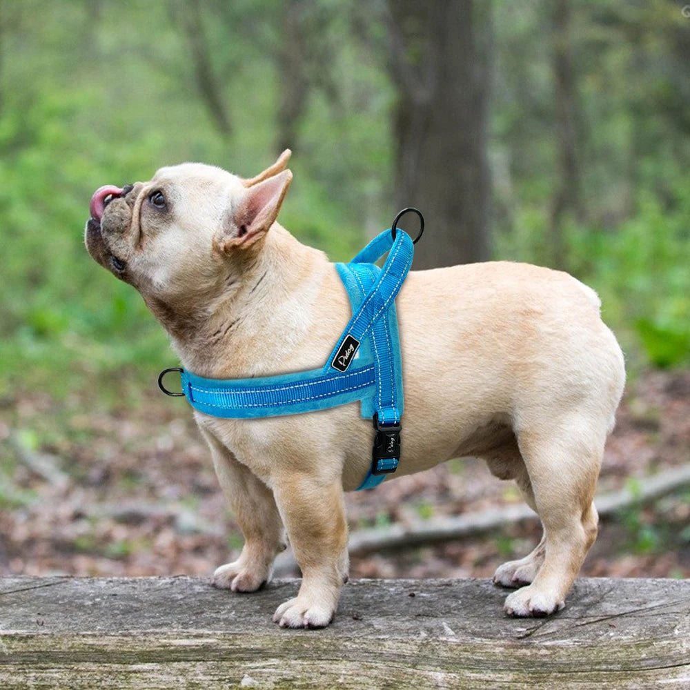 Arnés reflectante acolchado para perros – Control cómodo y seguro