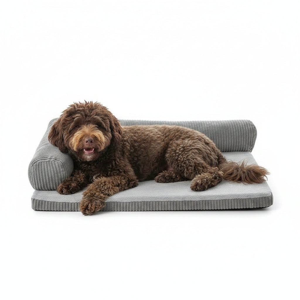 Cama Esquinera Ergonómica: El Sofá de Descanso para tu Mascota