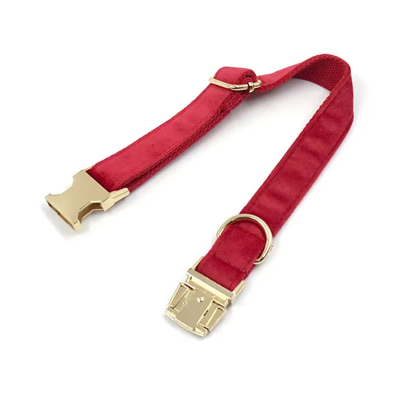 Paseo Seguro y con Estilo: Juego de Collar y Correa de Gamuza para Perros
