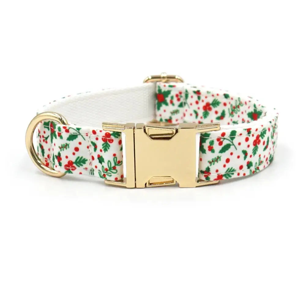 Collar Clásico de Nylon para Perros & Correa – Estilo y Resistencia en Cada Paseo