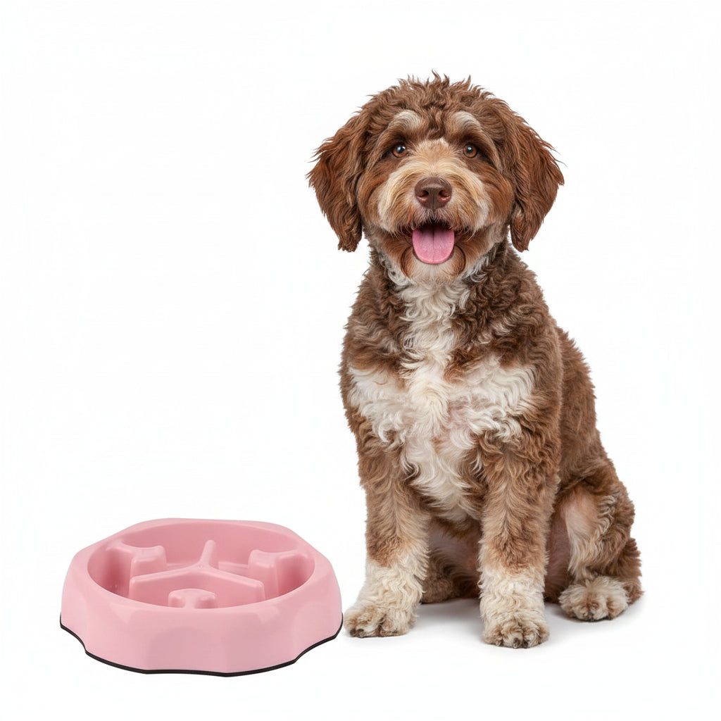 Comedero Antiahogo de Colores para Perros y Gatos - Modelo Especial