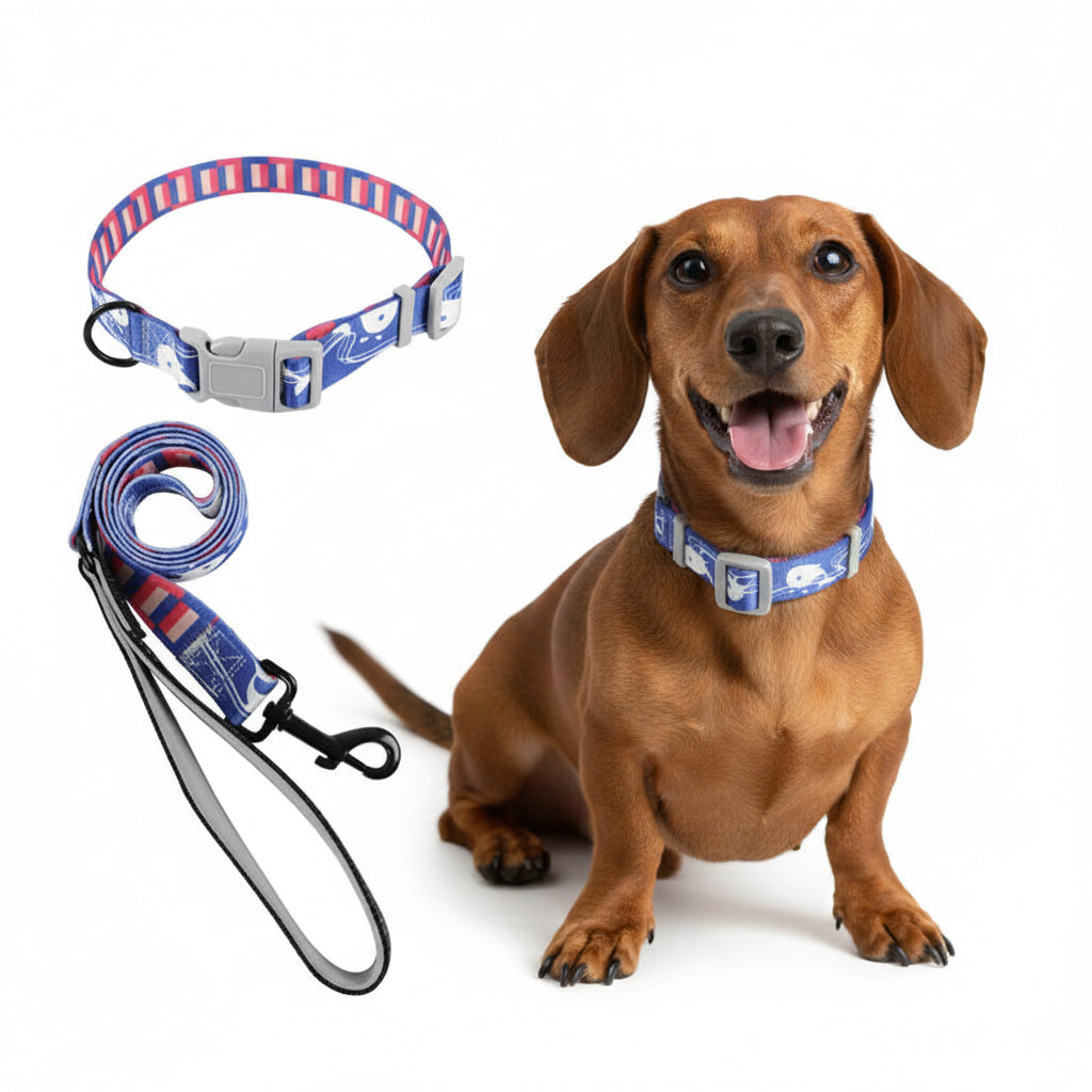 Arnés, Collar y Correa para Perro - Estampado Azul
