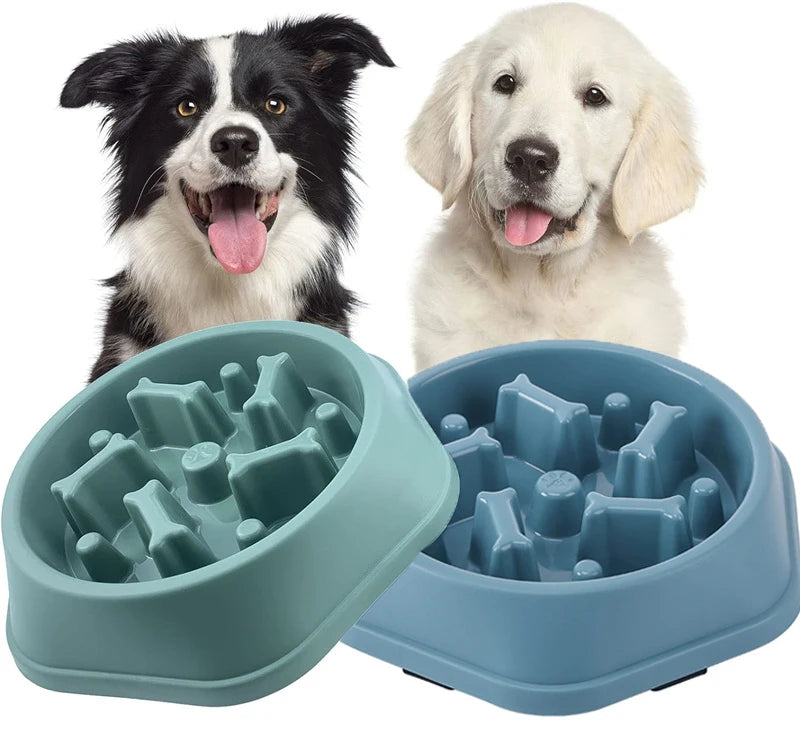 Comedero Antiahogo para Perros Pequeños y Medianos - Verde y Azul