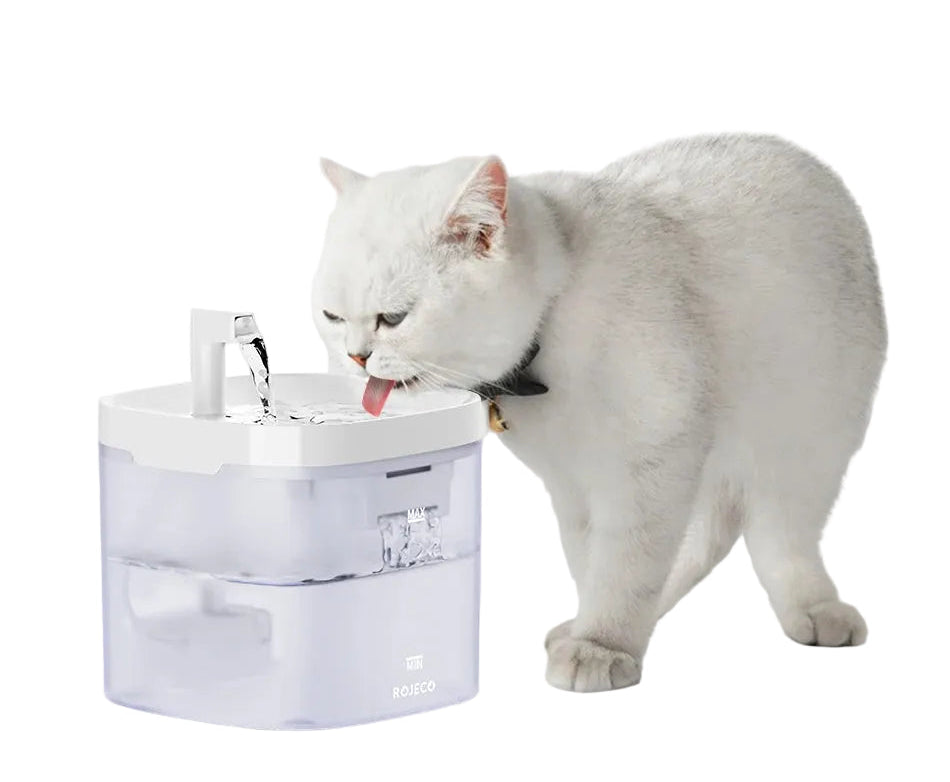 Fuente de Agua Automática con Doble Flujo: Hidratación Fresca y Divertida